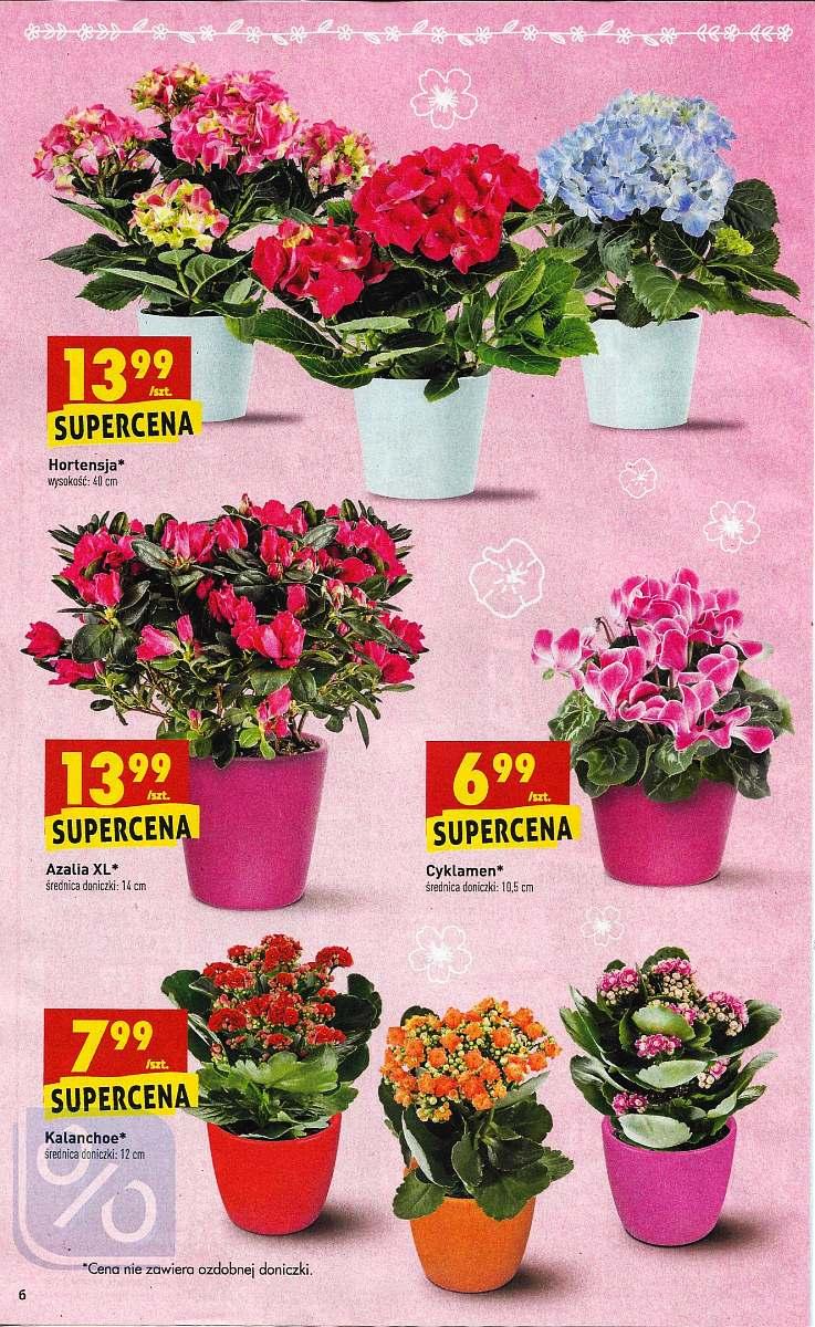 Gazetka promocyjna Biedronka str. 6