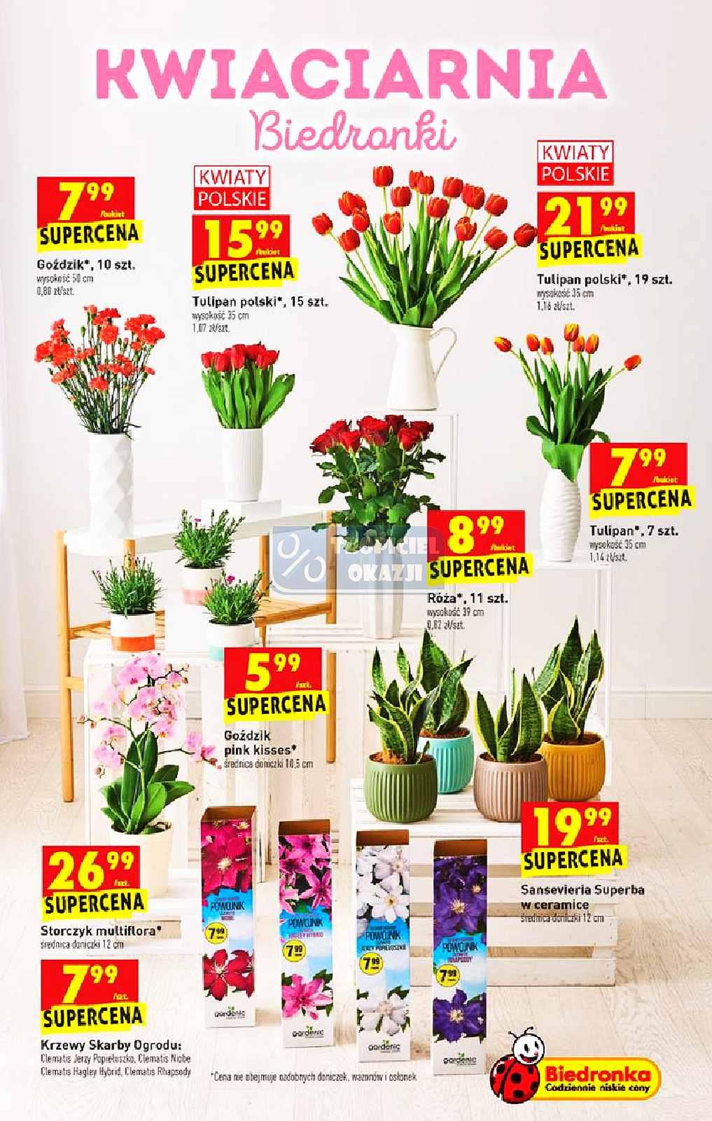 Gazetka promocyjna Biedronka str. 53