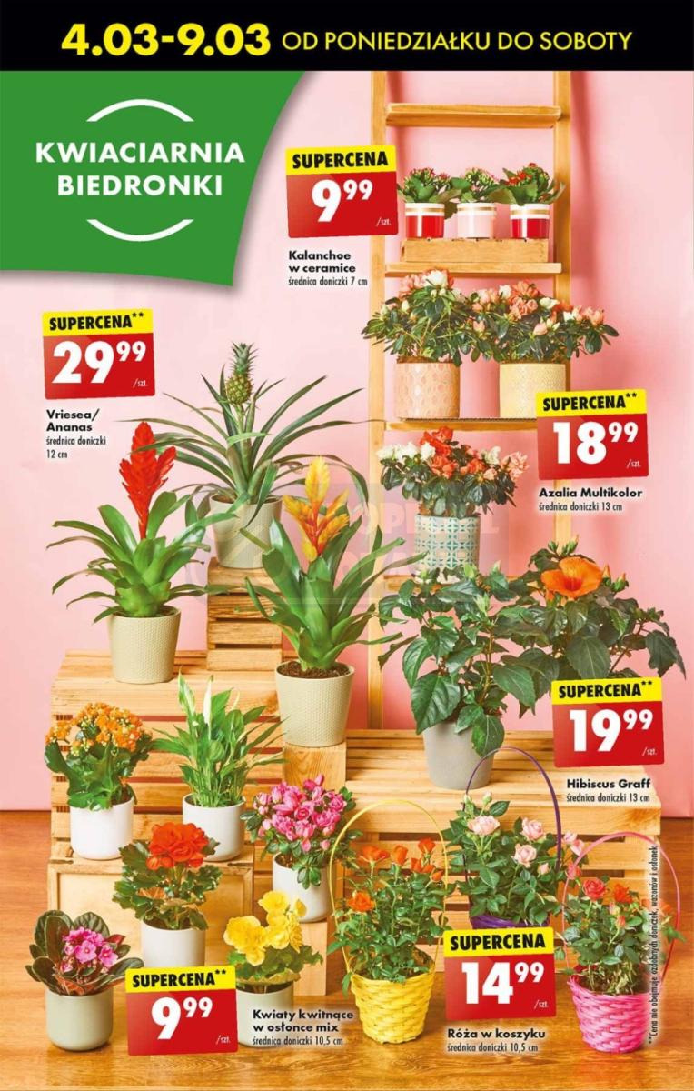 Gazetka promocyjna Biedronka str. 18