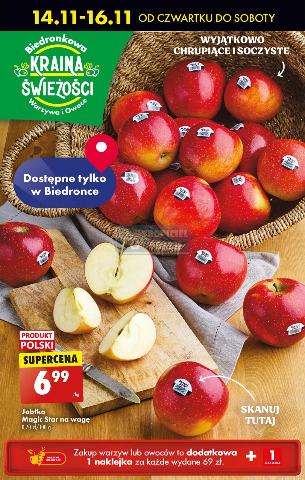 Gazetka promocyjna Biedronka str. 65