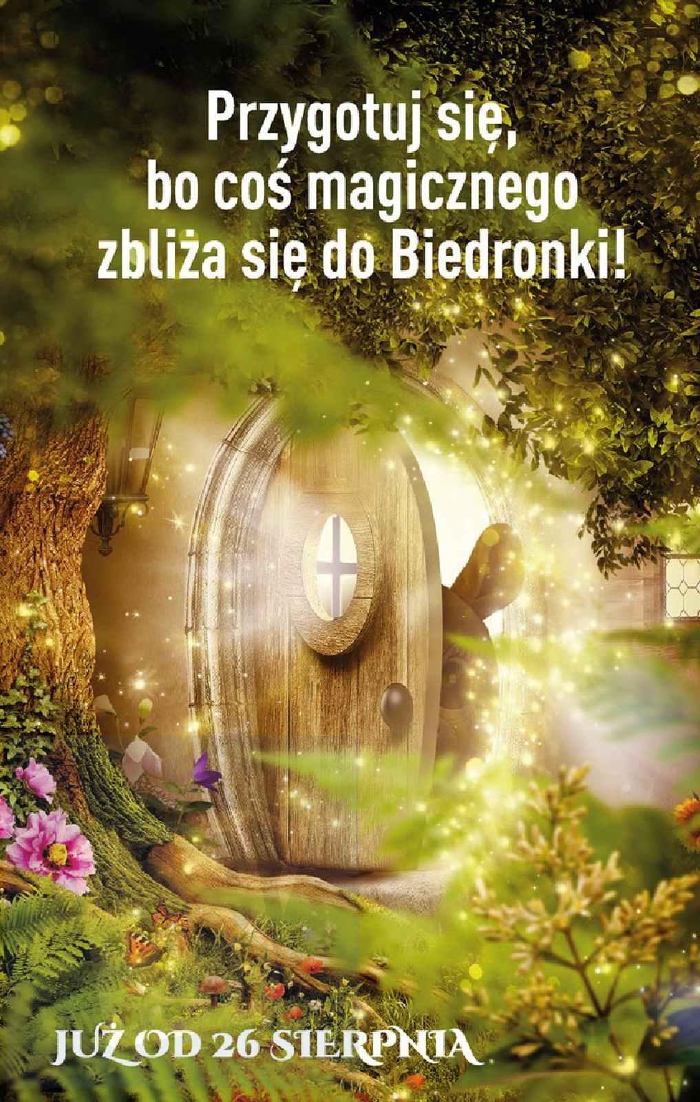 Gazetka promocyjna Biedronka str. 64