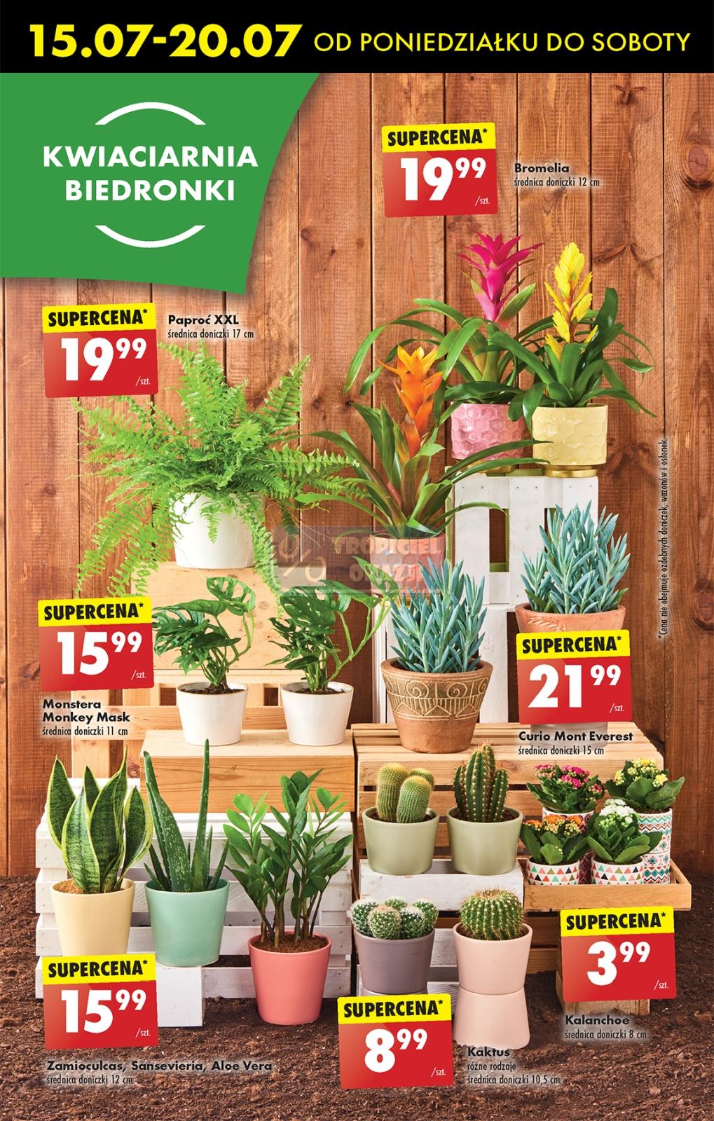 Gazetka promocyjna Biedronka str. 61