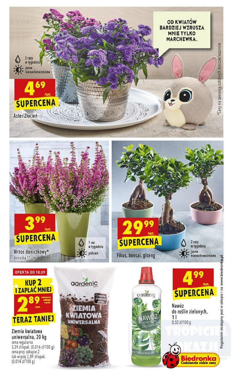 Gazetka promocyjna Biedronka str. 45