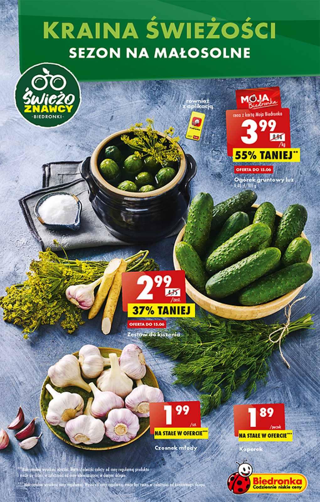 Gazetka promocyjna Biedronka str. 13