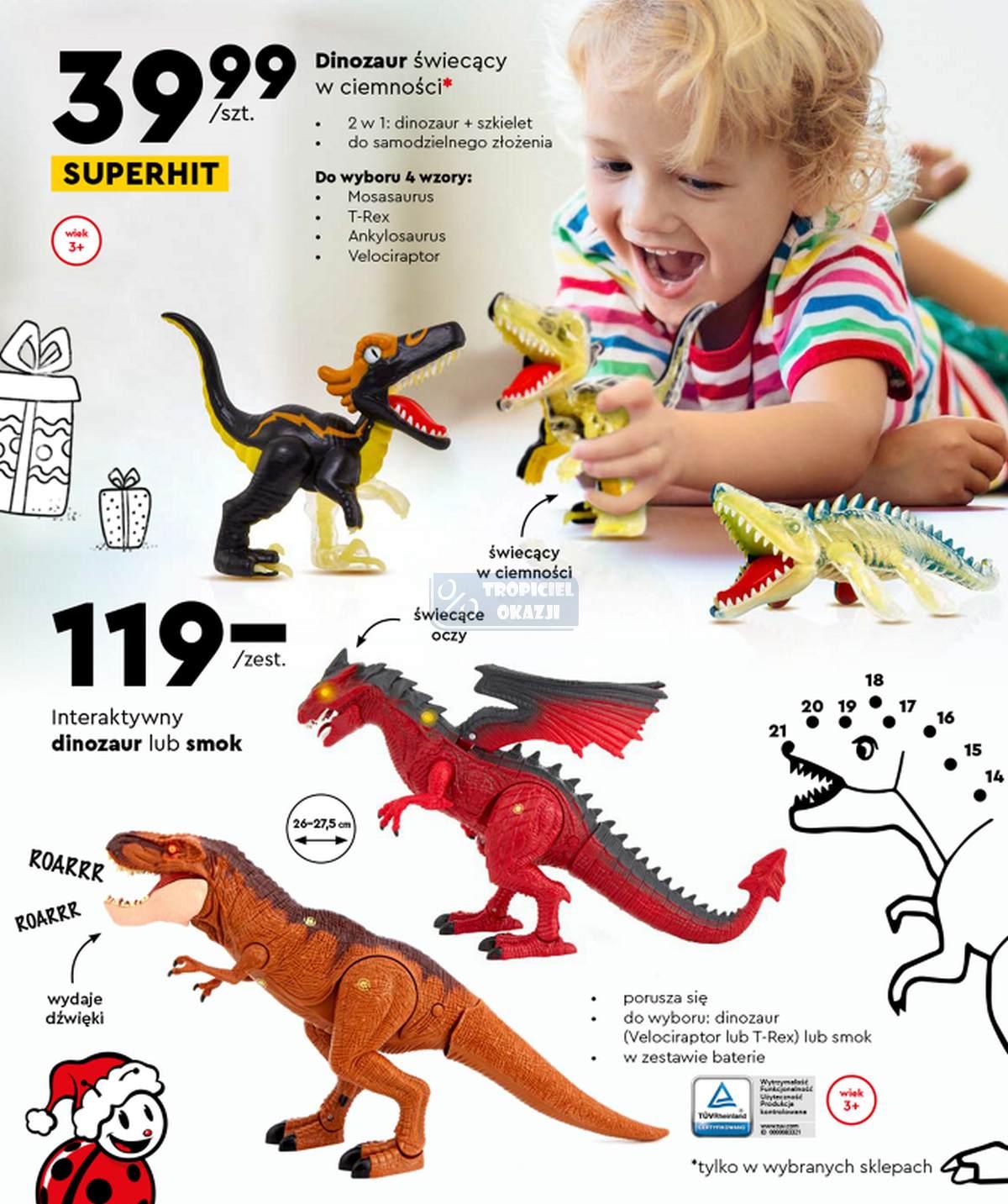 Gazetka promocyjna Biedronka str. 22