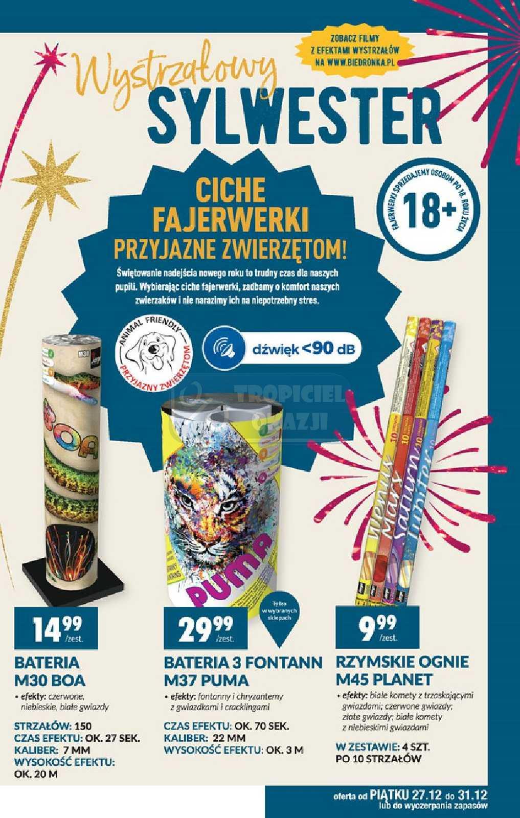 Gazetka promocyjna Biedronka str. 13