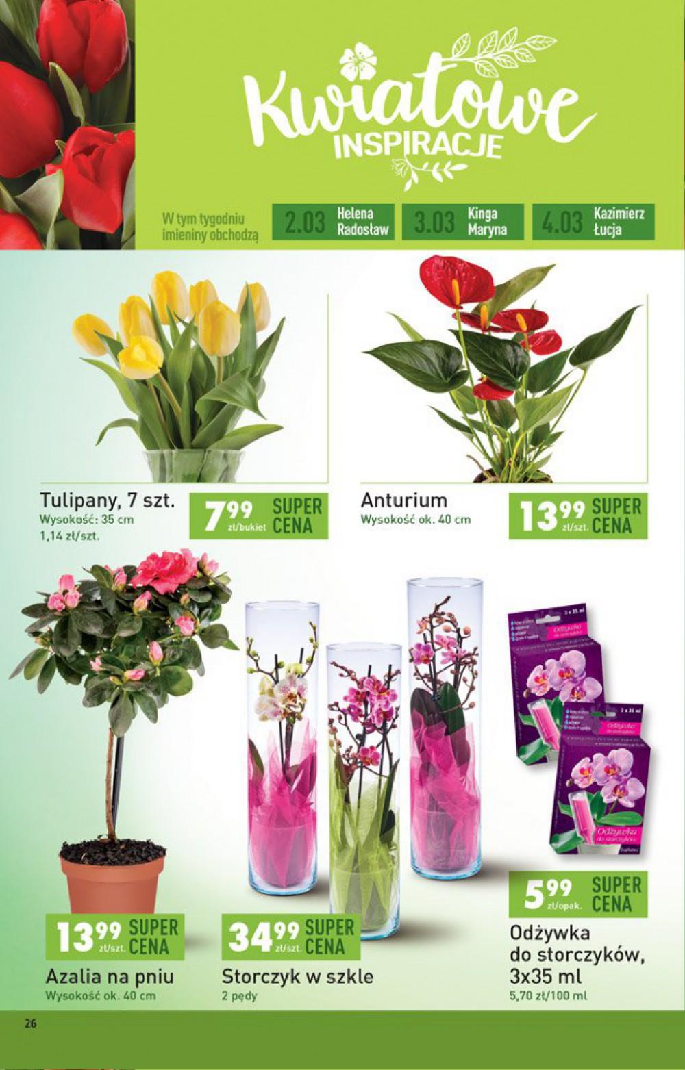 Gazetka promocyjna Biedronka str. 26