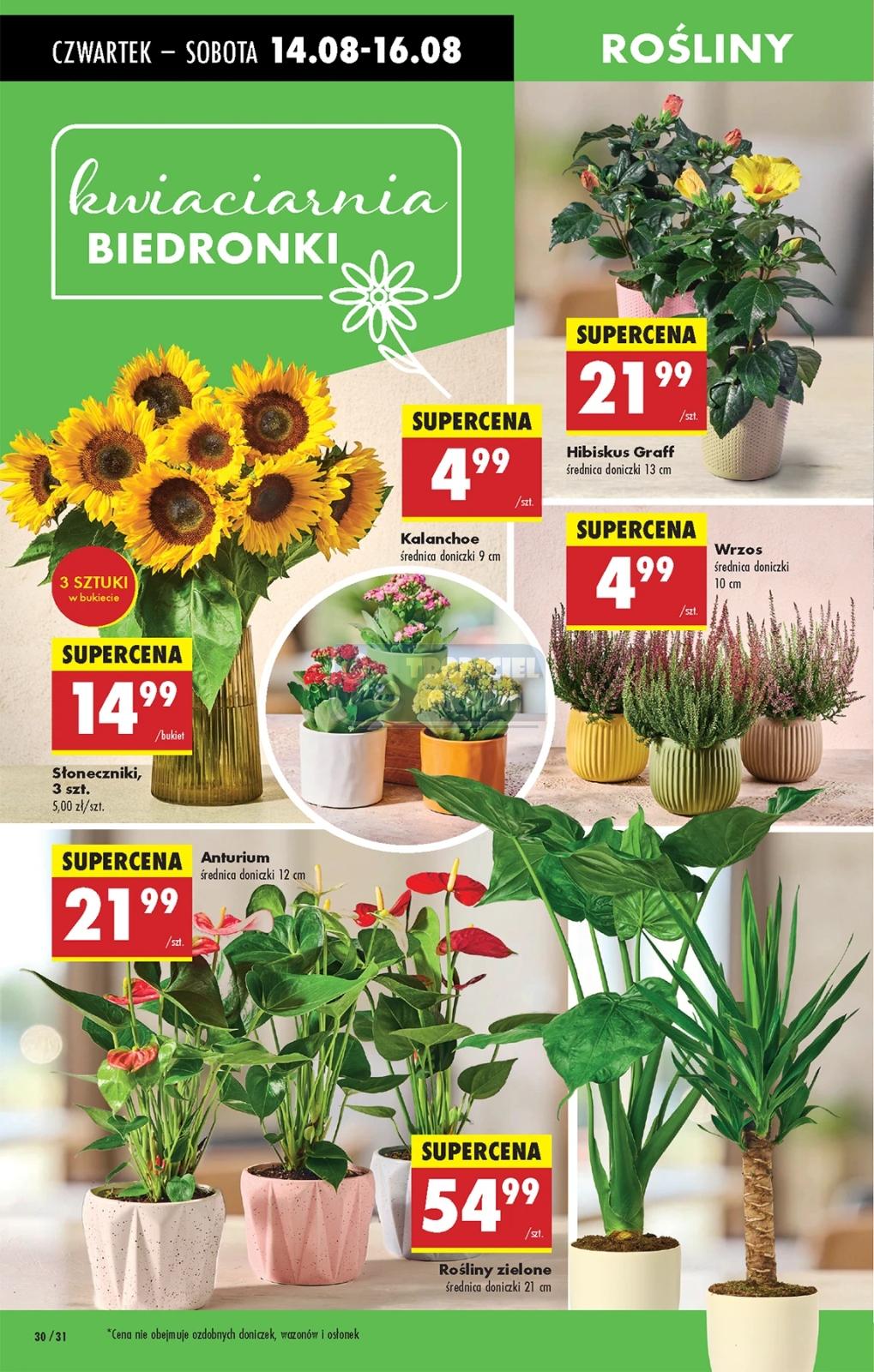 Gazetka promocyjna Biedronka str. 36