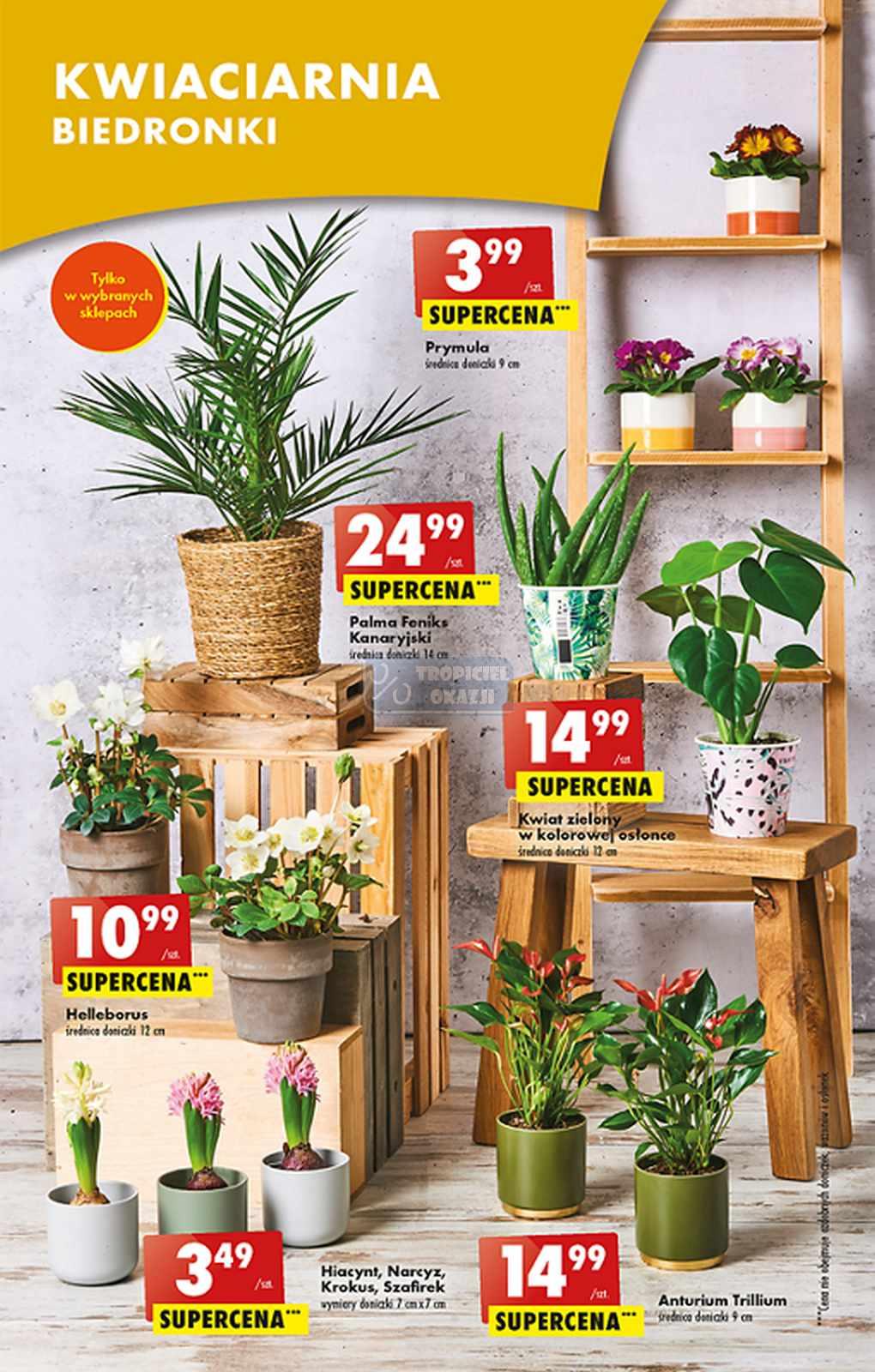 Gazetka promocyjna Biedronka str. 15