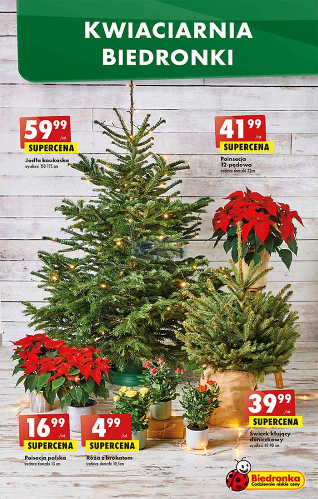 Gazetka promocyjna Biedronka str. 56