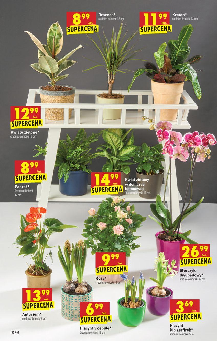 Gazetka promocyjna Biedronka str. 60