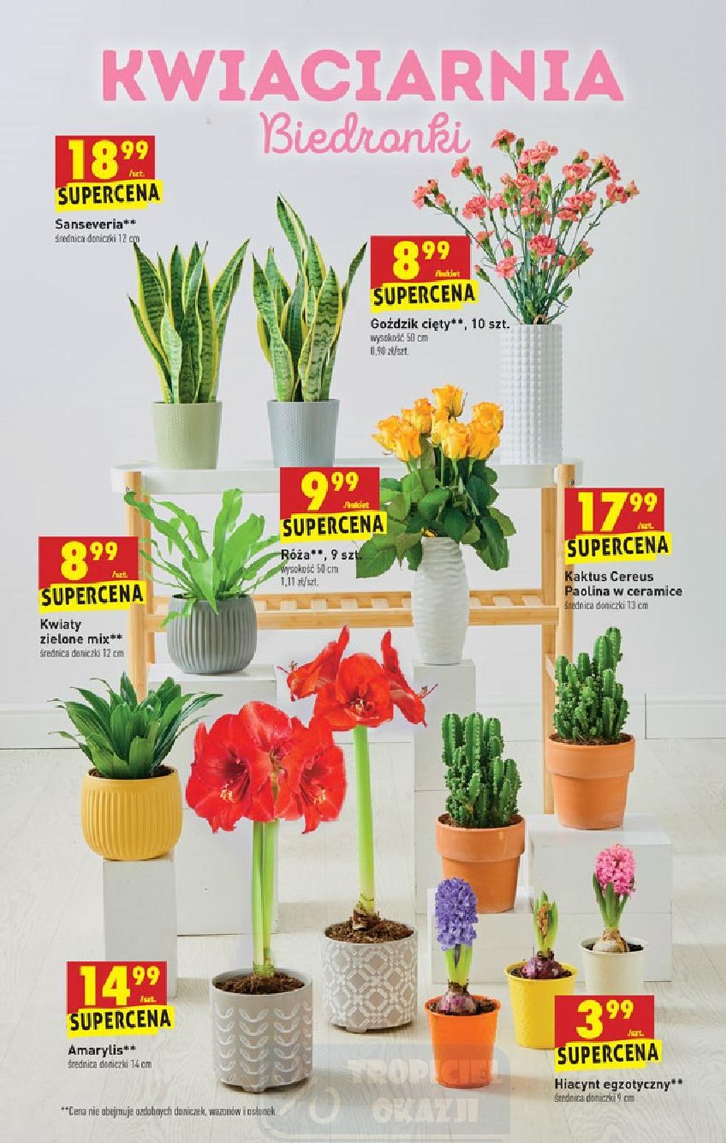 Gazetka promocyjna Biedronka str. 61