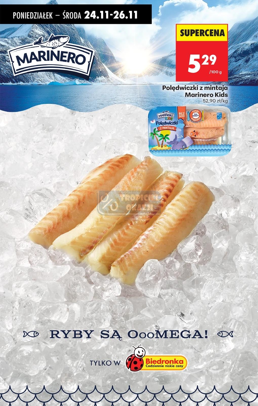 Gazetka promocyjna Biedronka str. 41