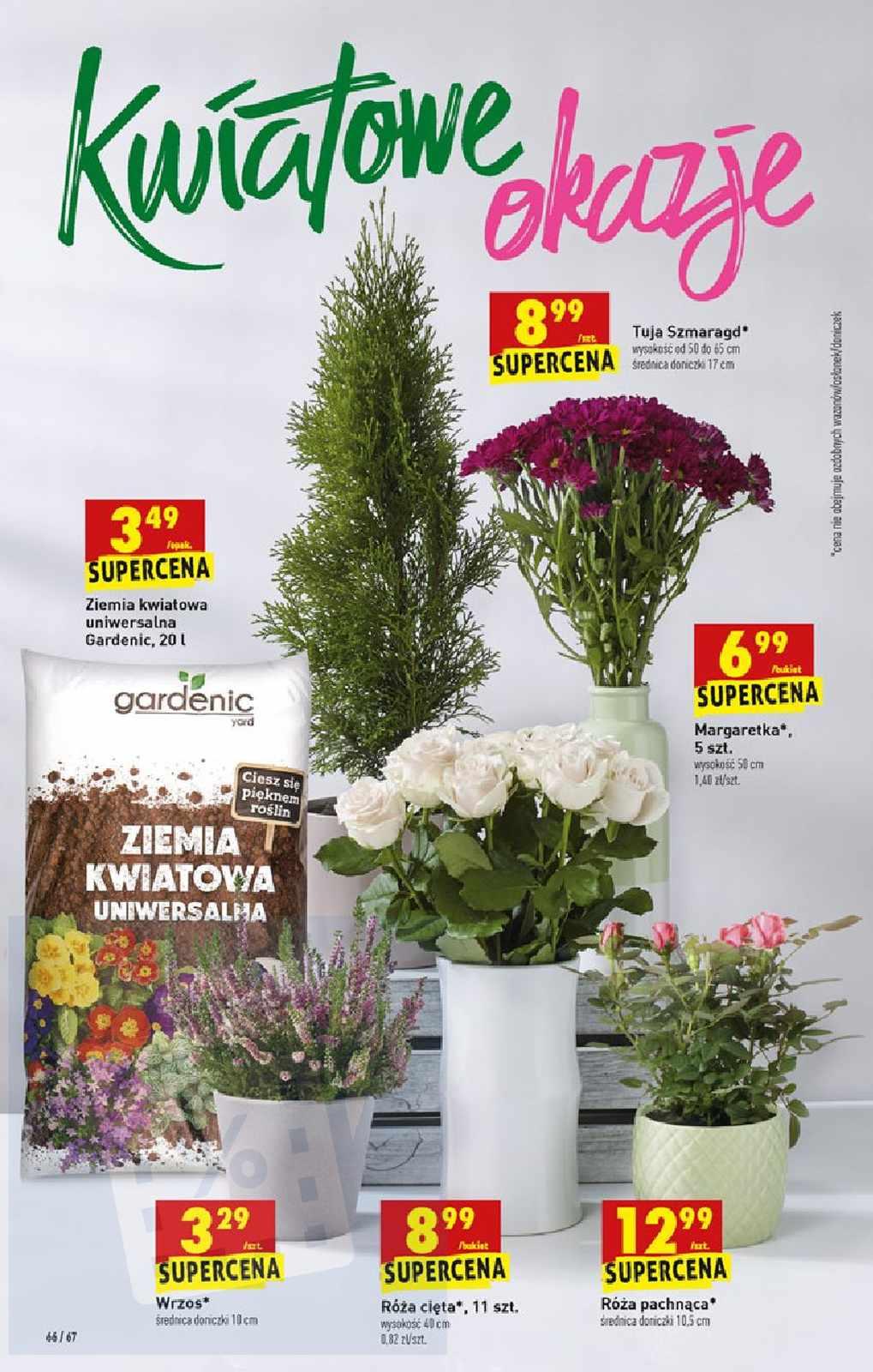 Gazetka promocyjna Biedronka str. 66