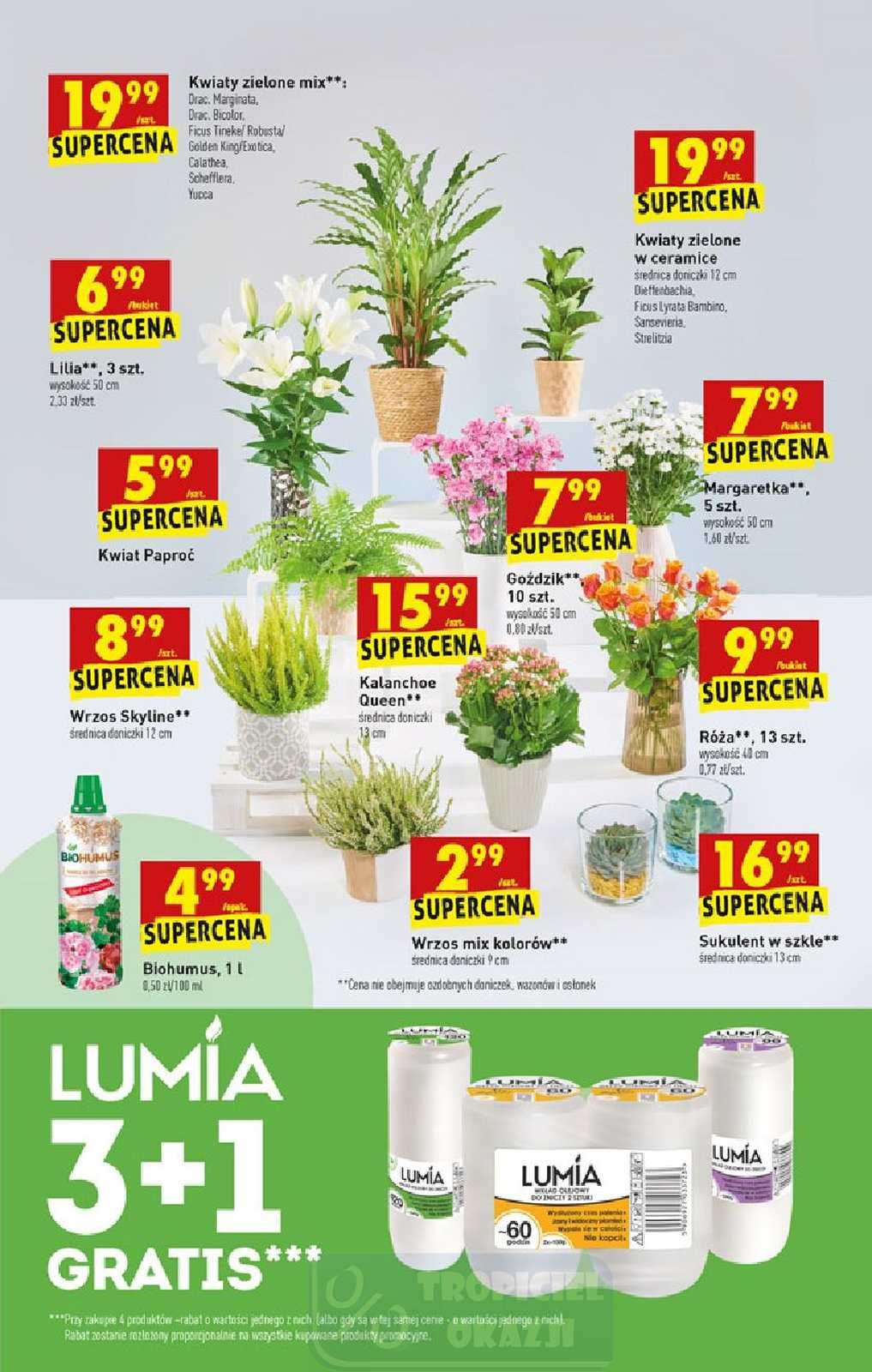 Gazetka promocyjna Biedronka str. 55