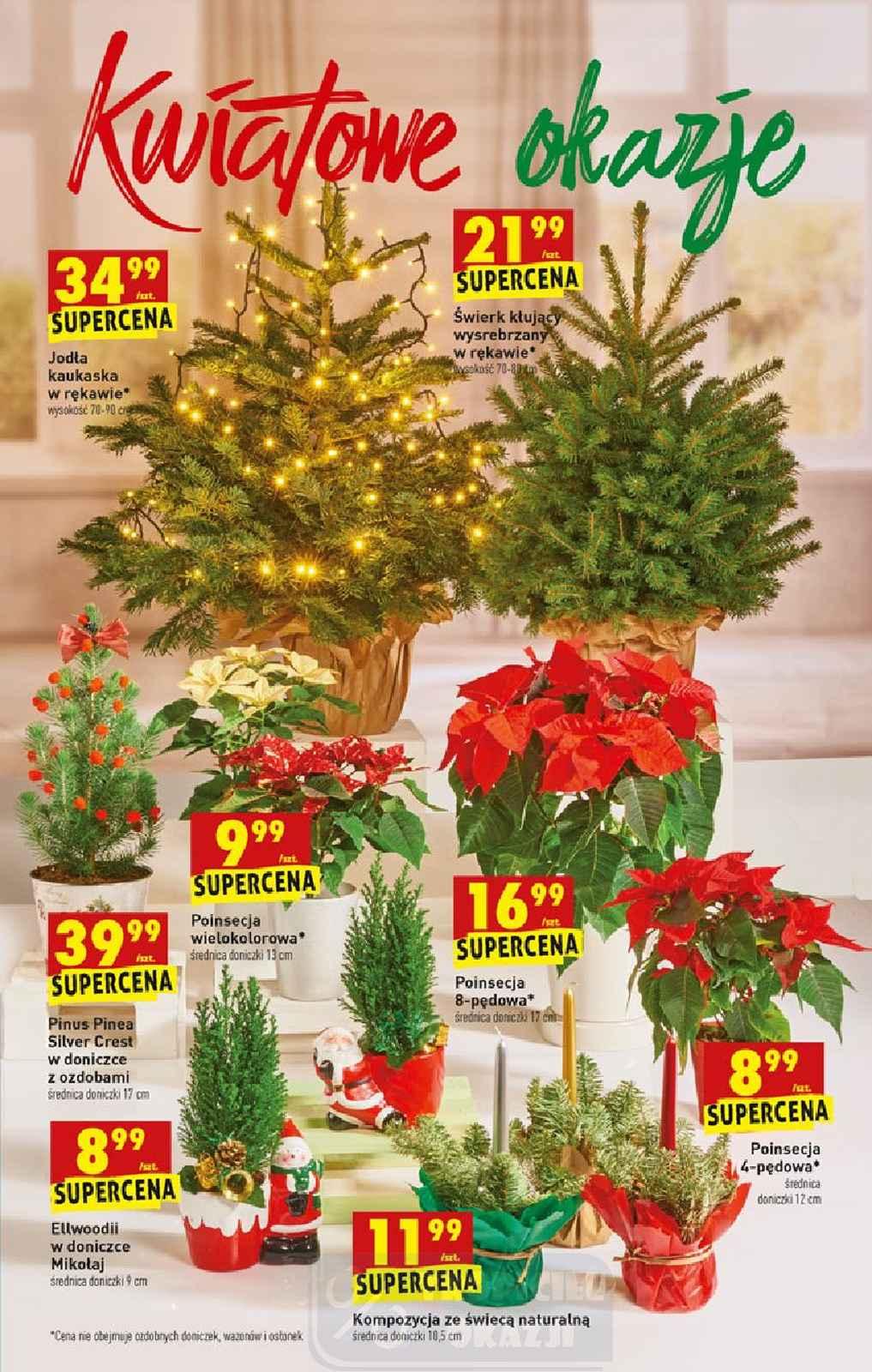 Gazetka promocyjna Biedronka str. 63