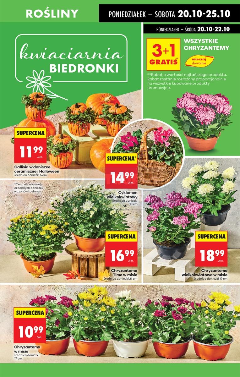 Gazetka promocyjna Biedronka str. 63