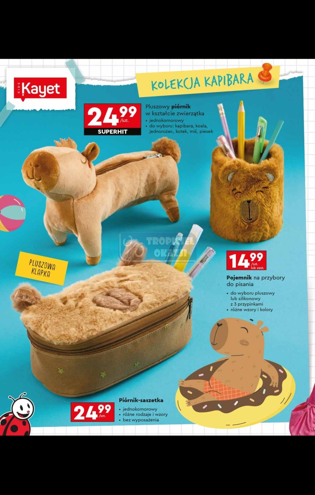 Gazetka promocyjna Biedronka str. 4