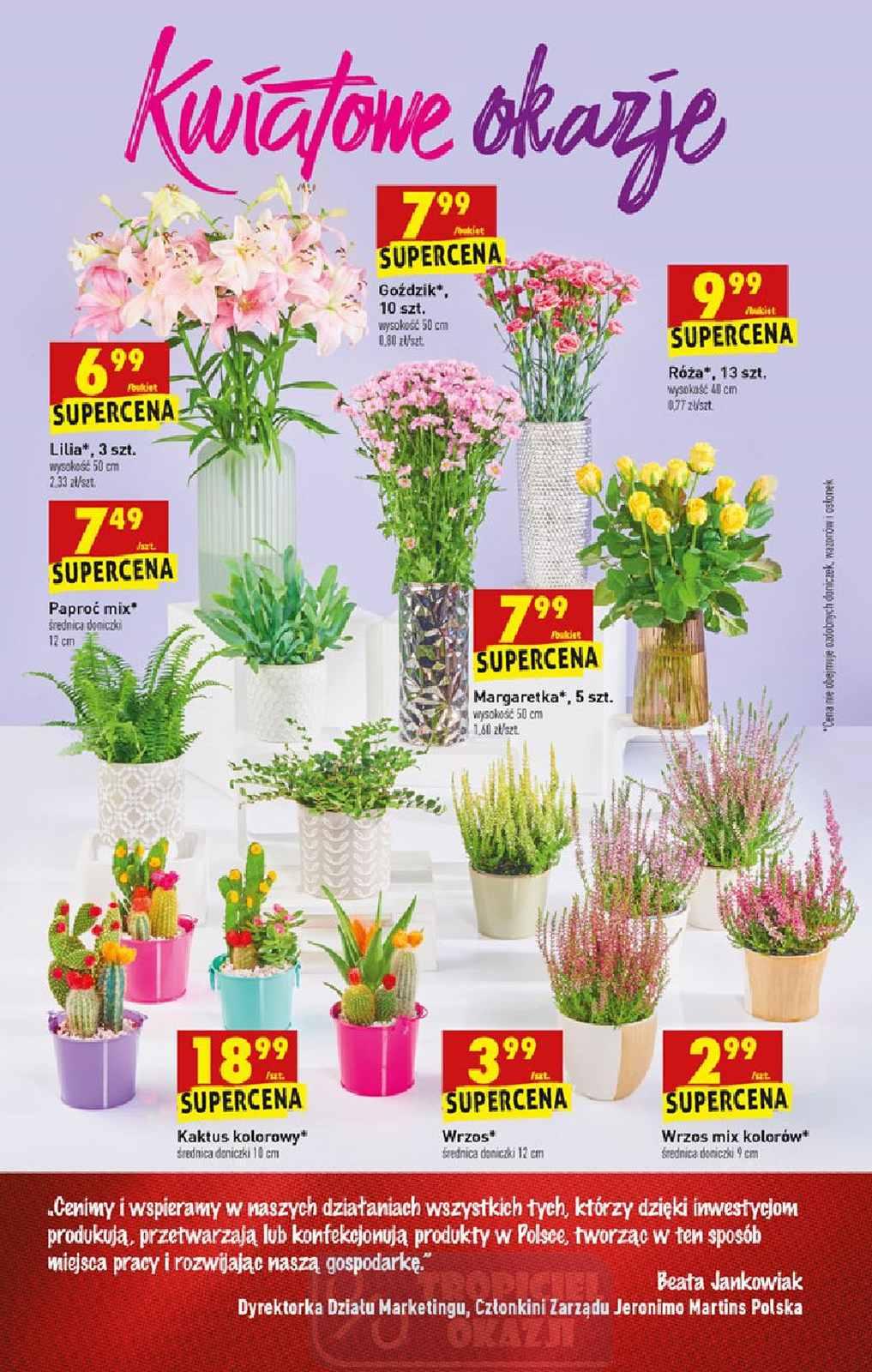 Gazetka promocyjna Biedronka str. 55