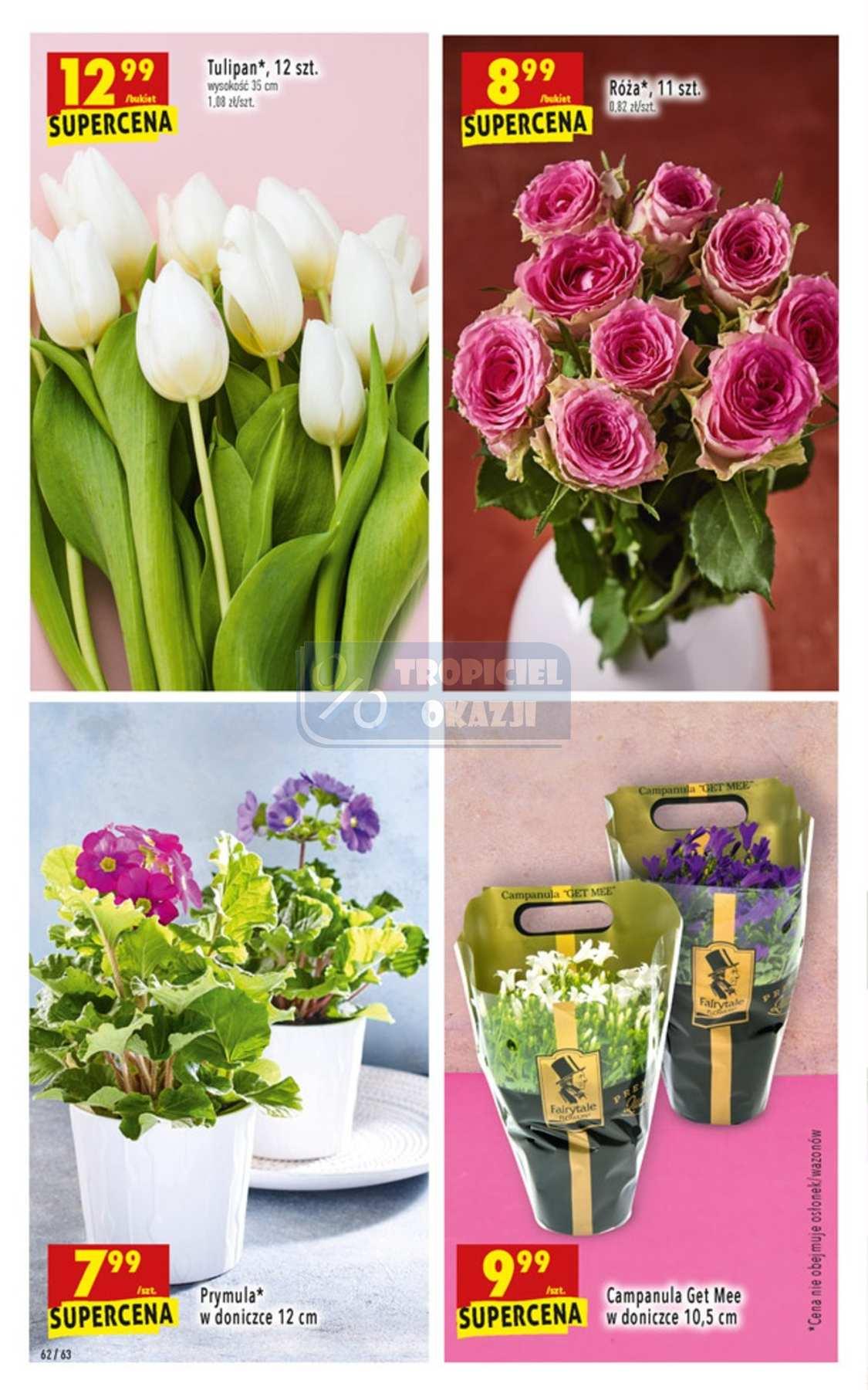 Gazetka promocyjna Biedronka str. 62