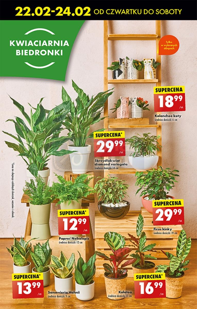 Gazetka promocyjna Biedronka str. 63