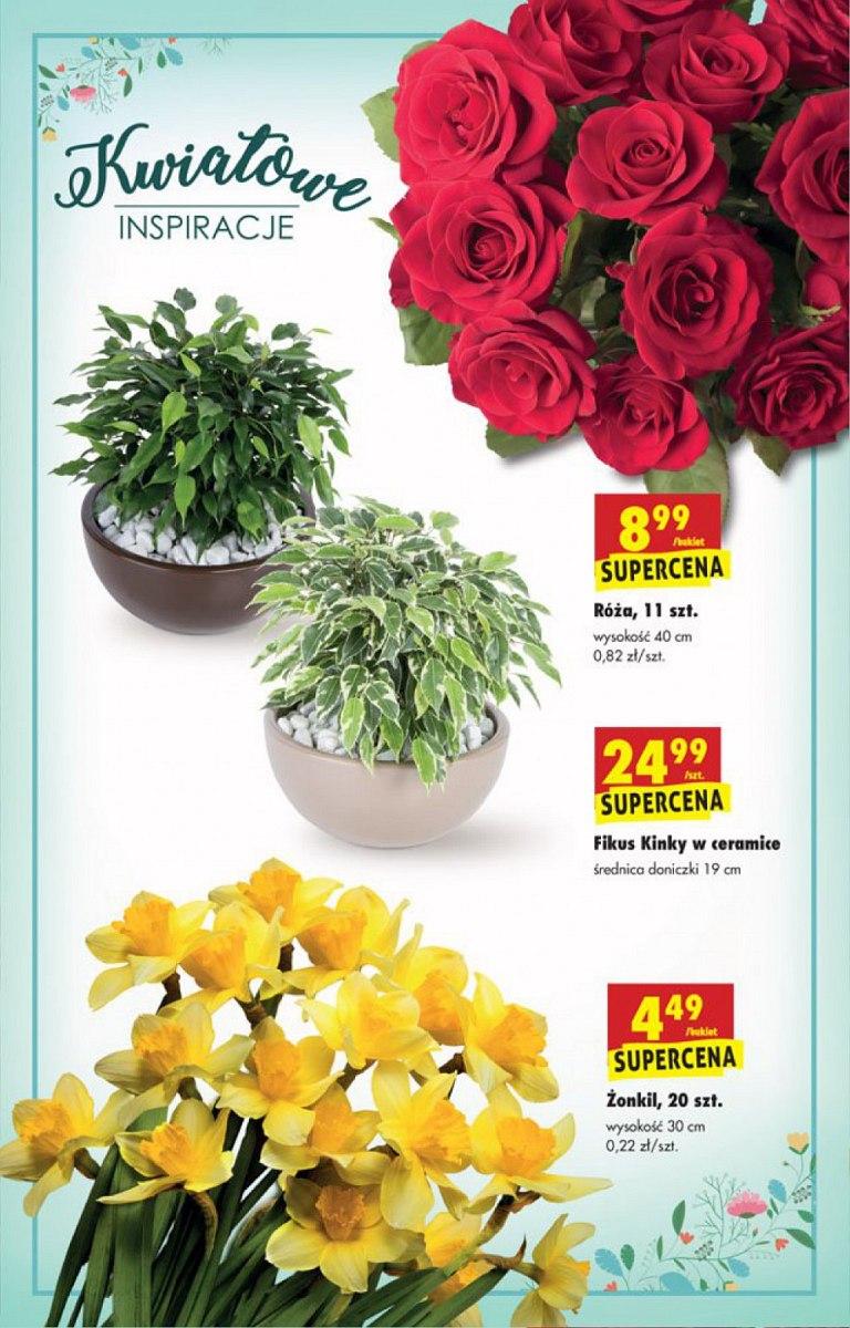 Gazetka promocyjna Biedronka str. 13