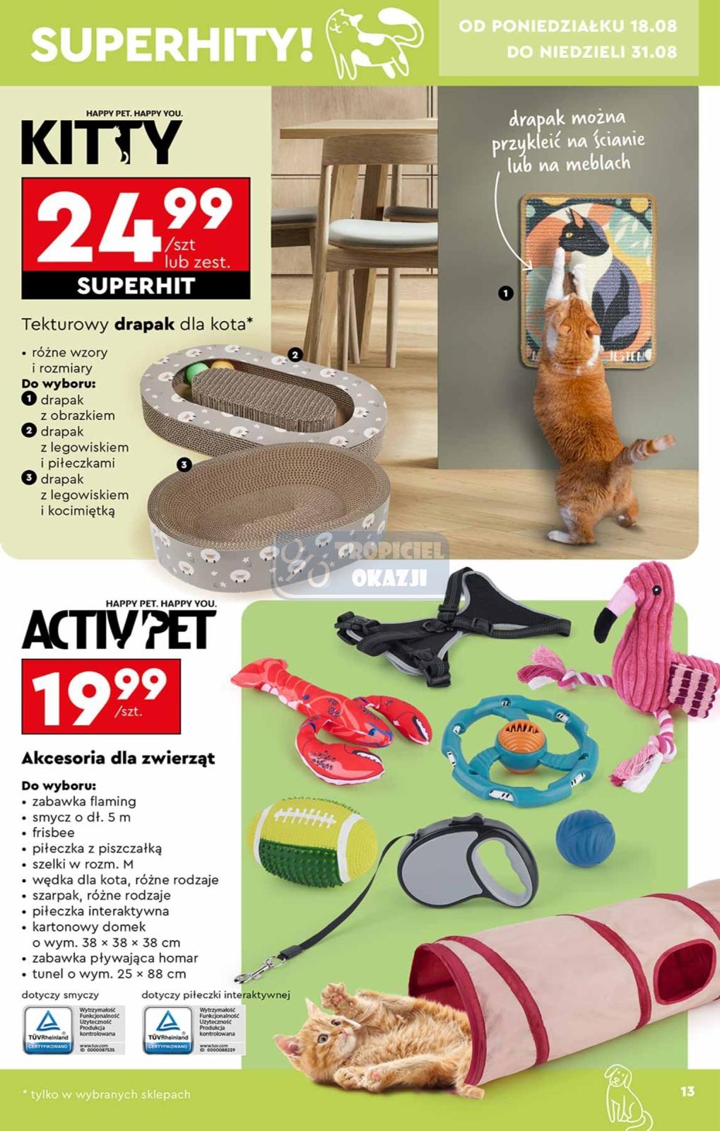 Gazetka promocyjna Biedronka str. 13