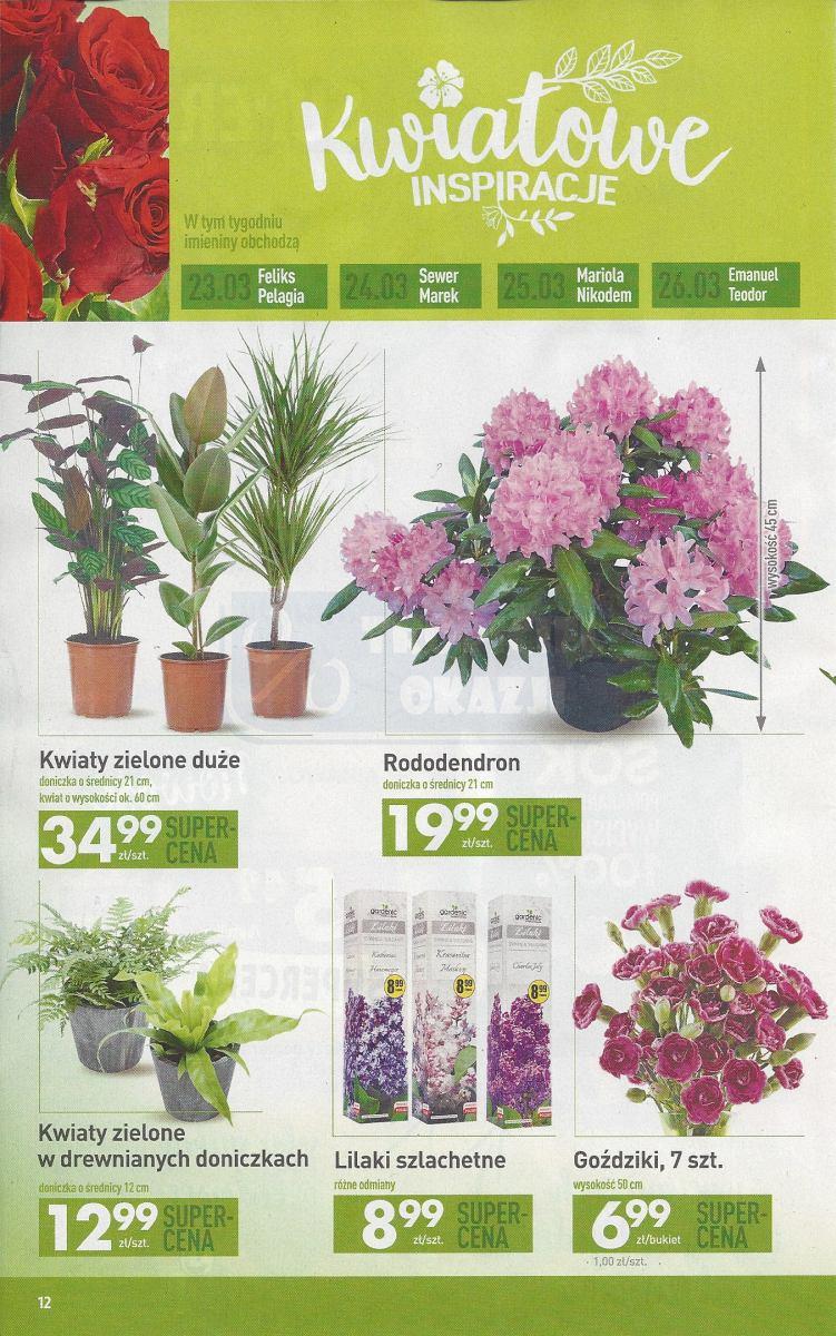 Gazetka promocyjna Biedronka str. 12