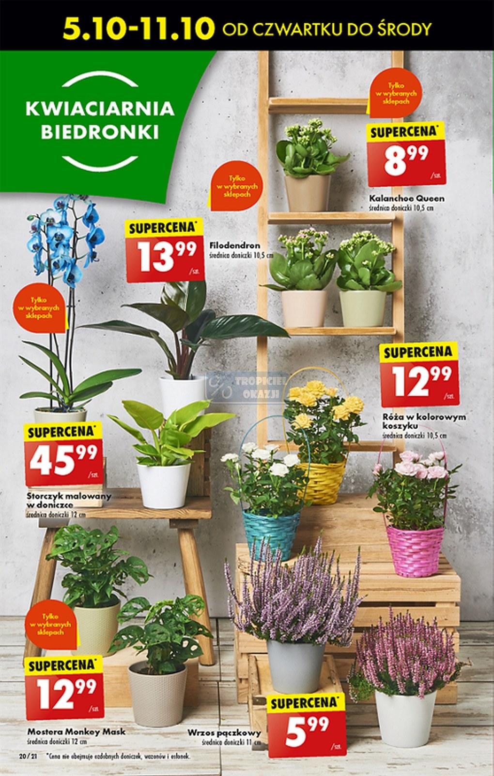 Gazetka promocyjna Biedronka str. 59