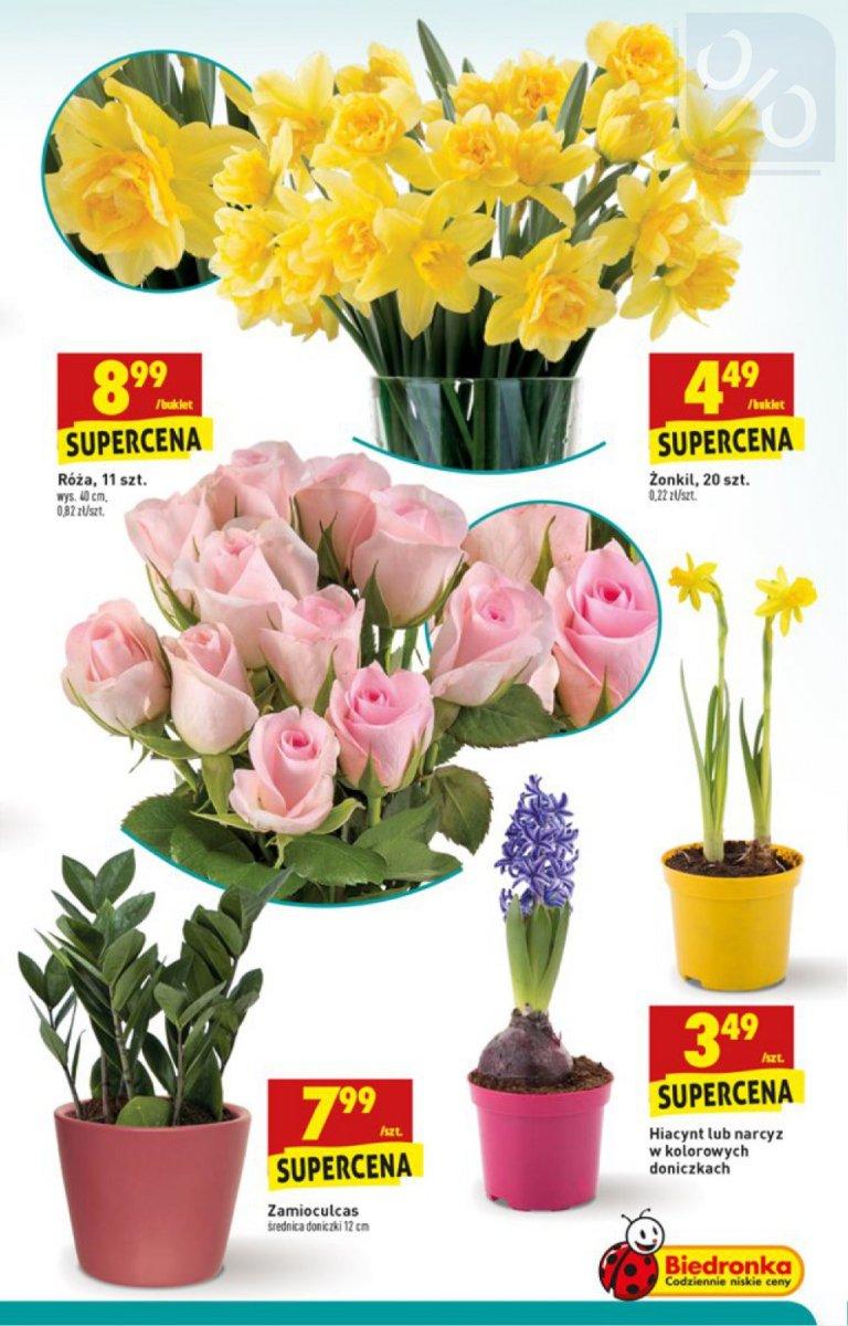 Gazetka promocyjna Biedronka str. 11