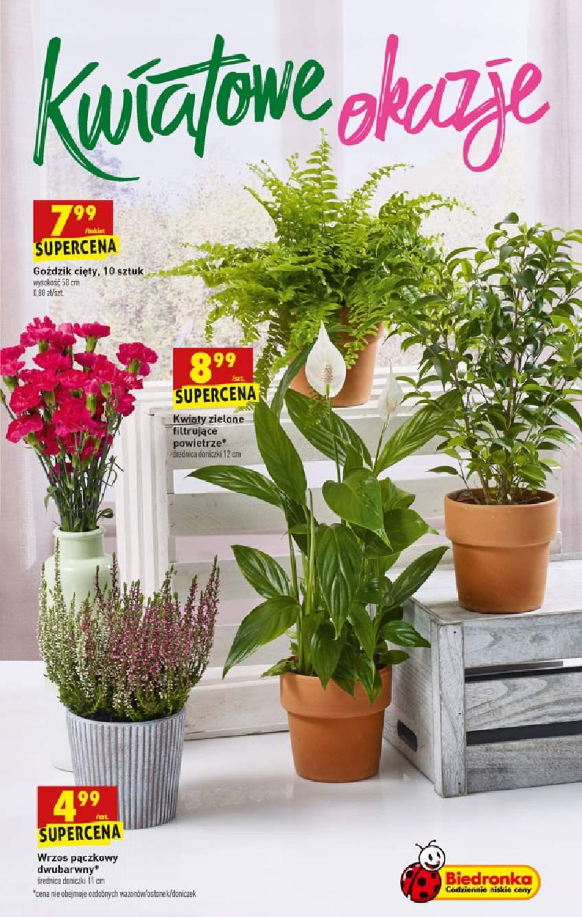 Gazetka promocyjna Biedronka str. 55