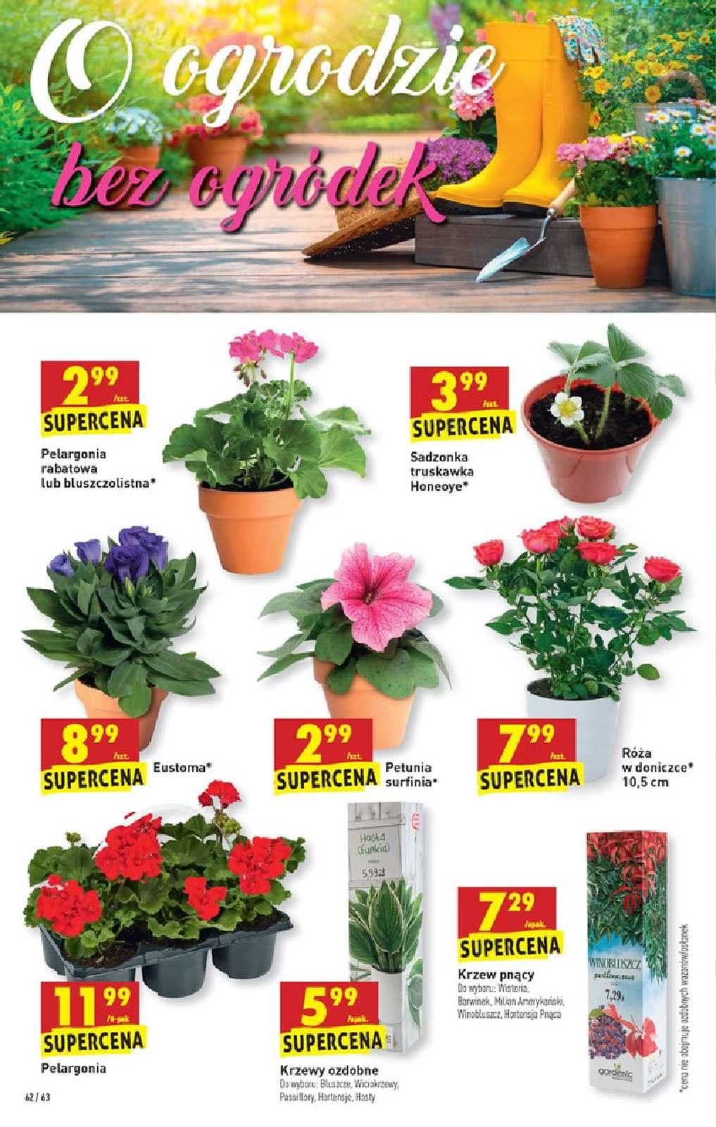 Gazetka promocyjna Biedronka str. 62