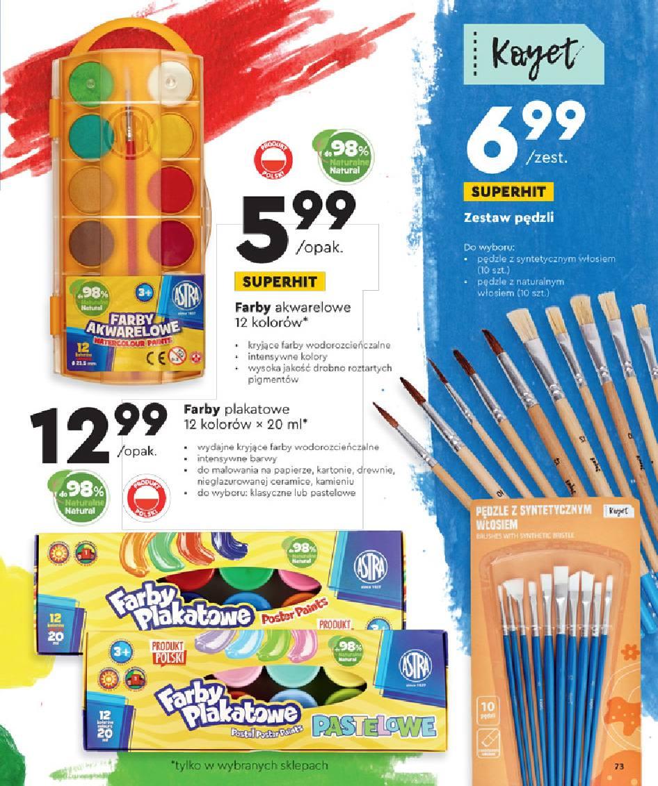 Gazetka promocyjna Biedronka str. 73