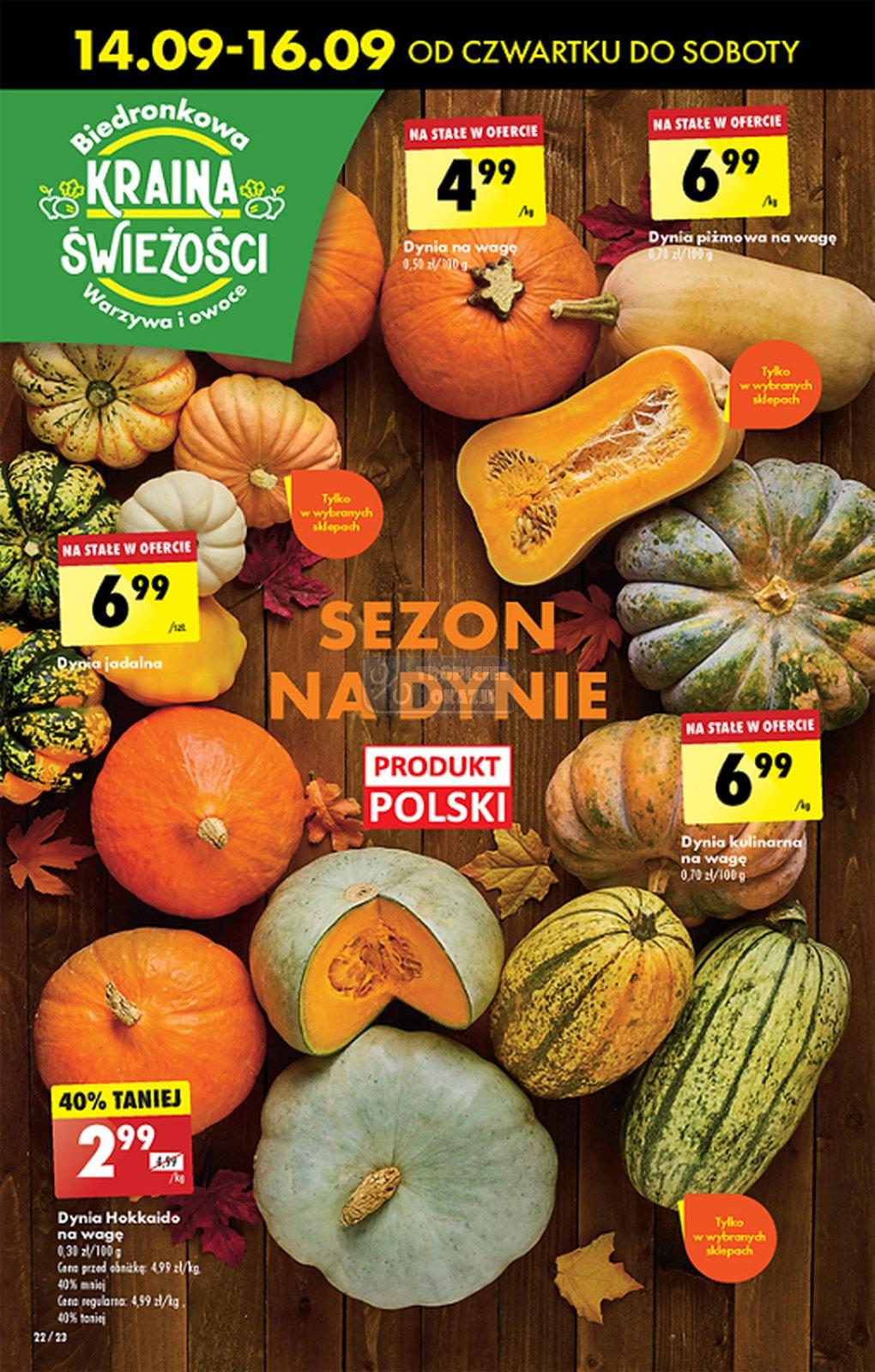 Gazetka promocyjna Biedronka str. 22
