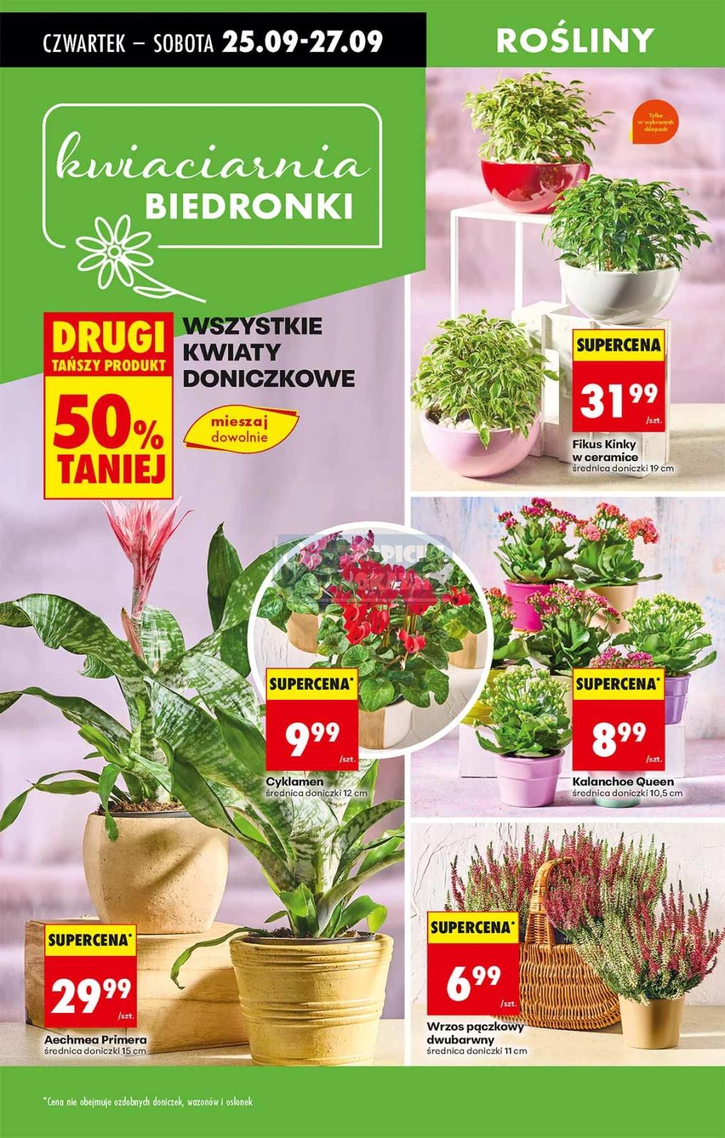 Gazetka promocyjna Biedronka str. 71