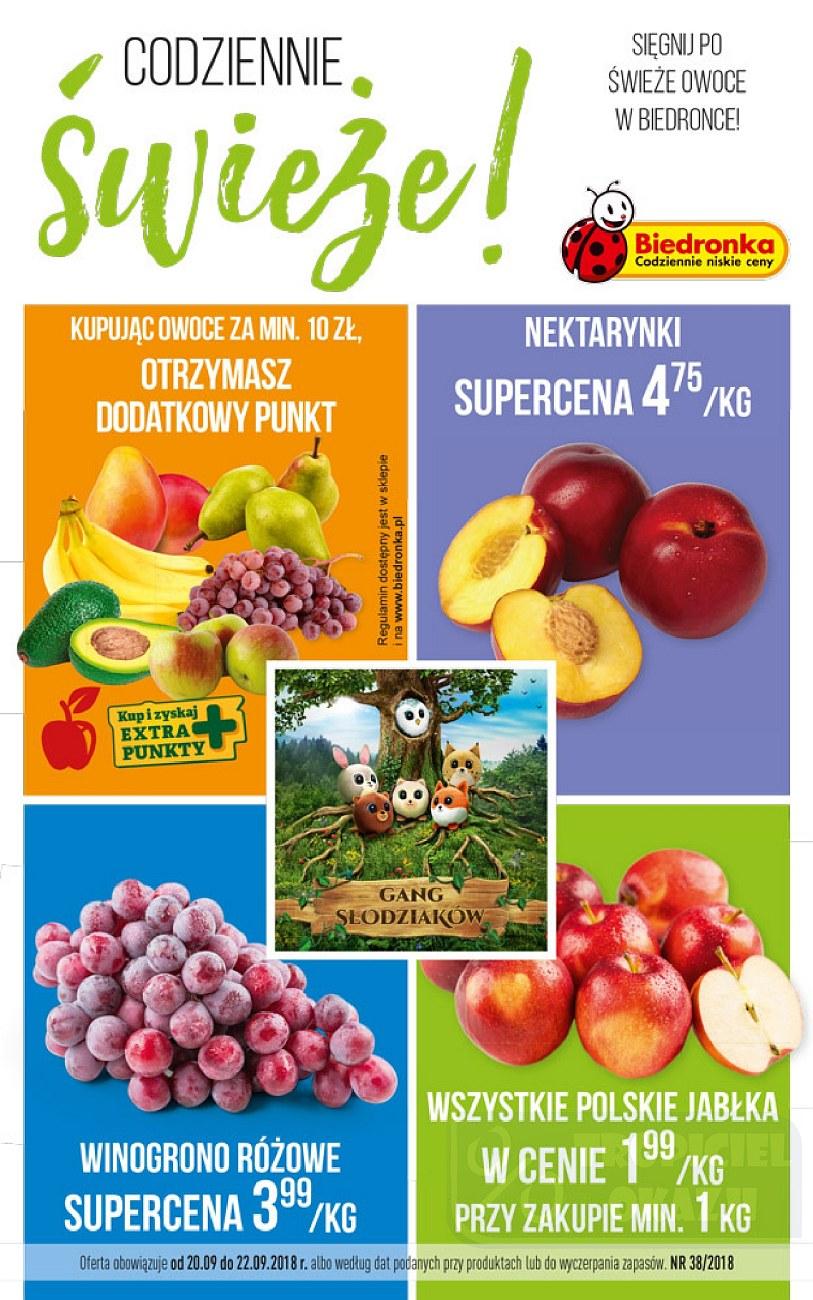 Gazetka promocyjna Biedronka str. 1