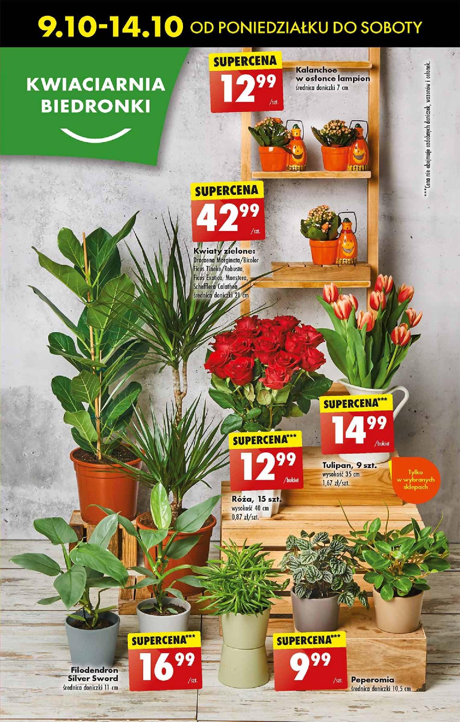 Gazetka promocyjna Biedronka str. 20