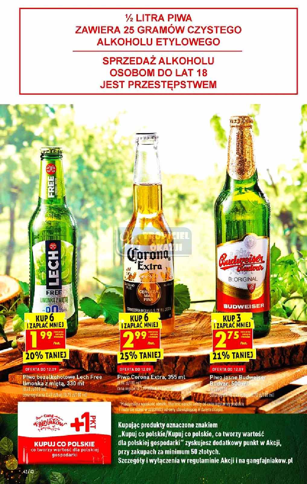 Gazetka promocyjna Biedronka str. 42