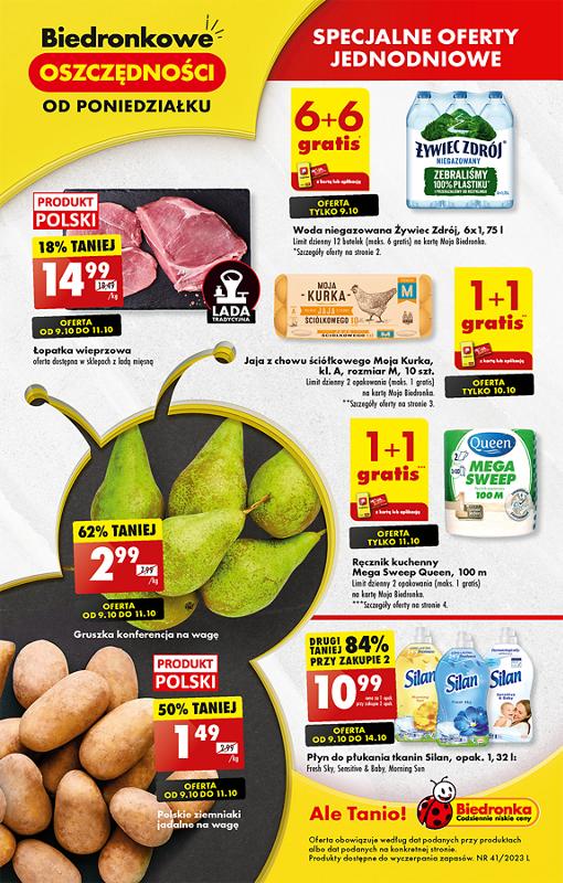 Gazetka promocyjna Biedronka str. 1
