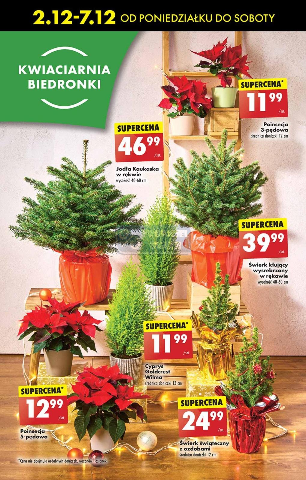 Gazetka promocyjna Biedronka str. 73