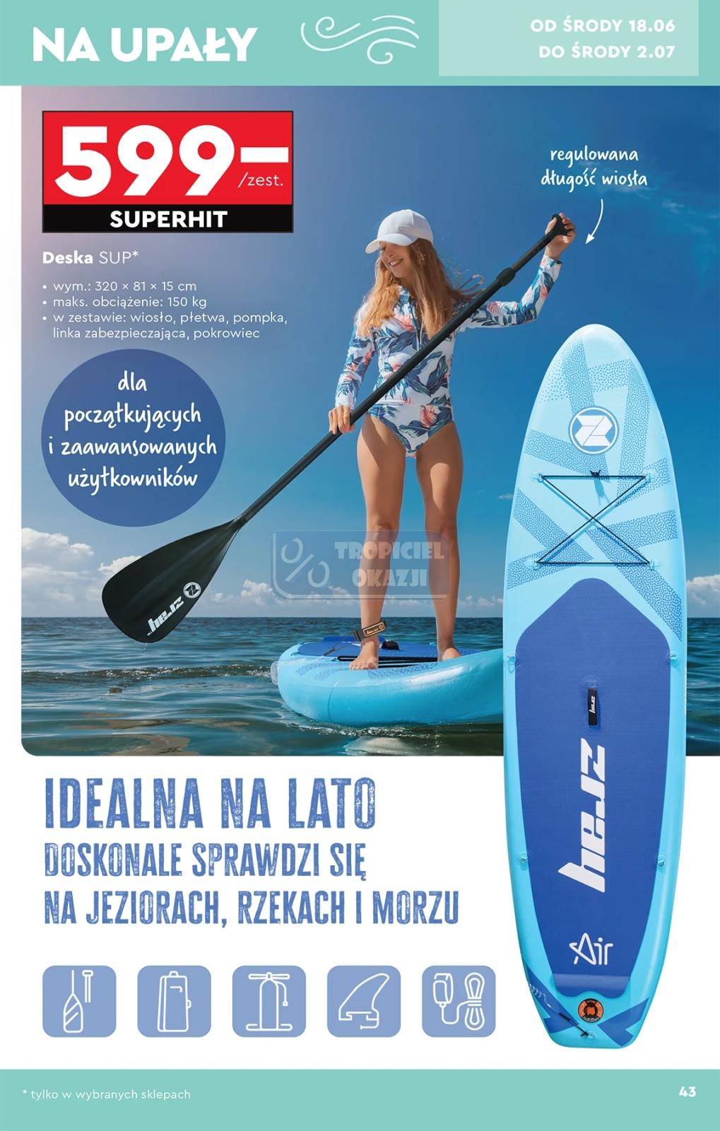 Gazetka promocyjna Biedronka str. 43