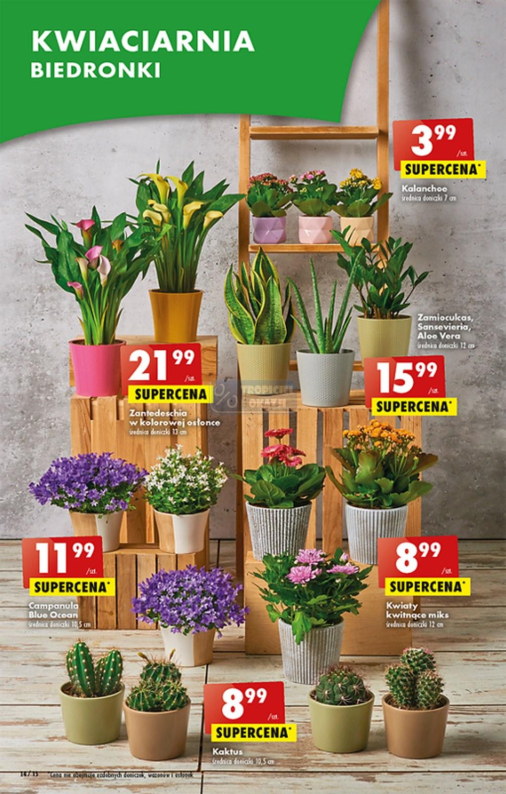 Gazetka promocyjna Biedronka str. 13