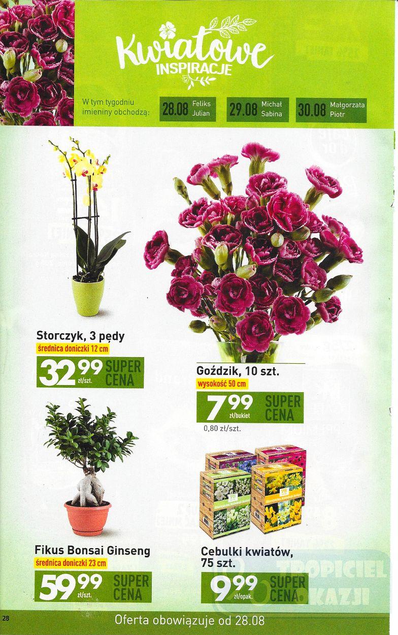 Gazetka promocyjna Biedronka str. 28