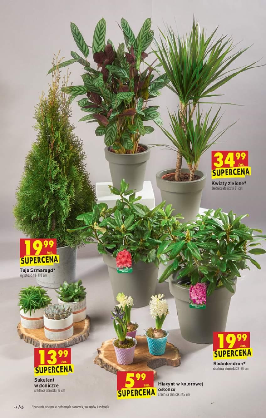 Gazetka promocyjna Biedronka str. 44