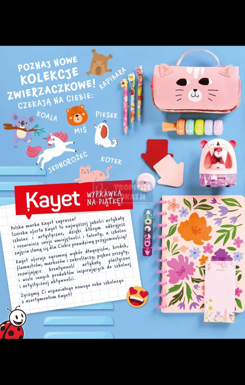 Gazetka promocyjna Biedronka str. 2