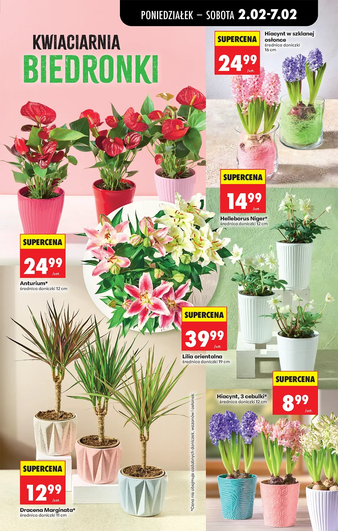 Gazetka promocyjna Biedronka str. 22