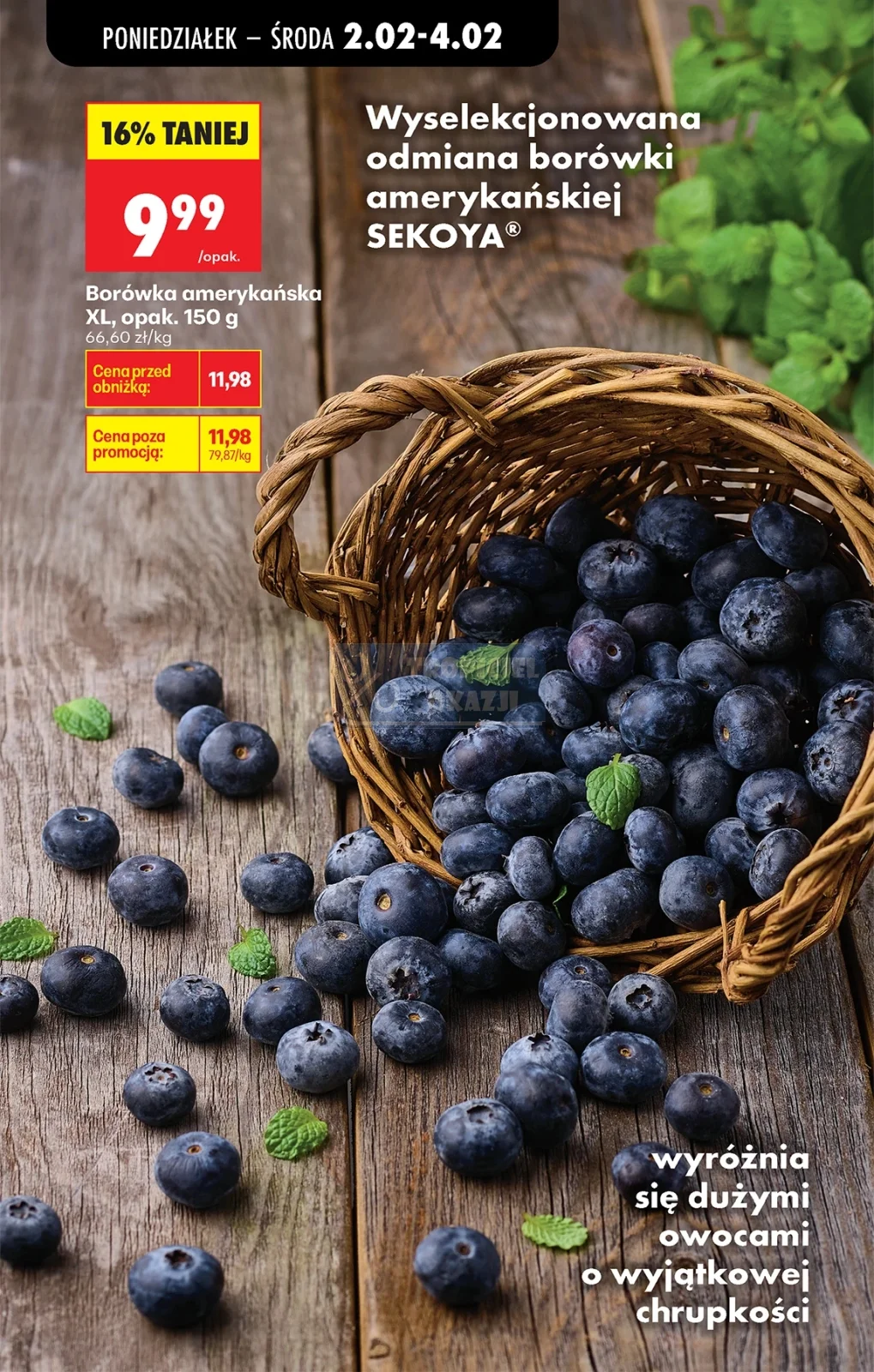 Gazetka promocyjna Biedronka str. 24