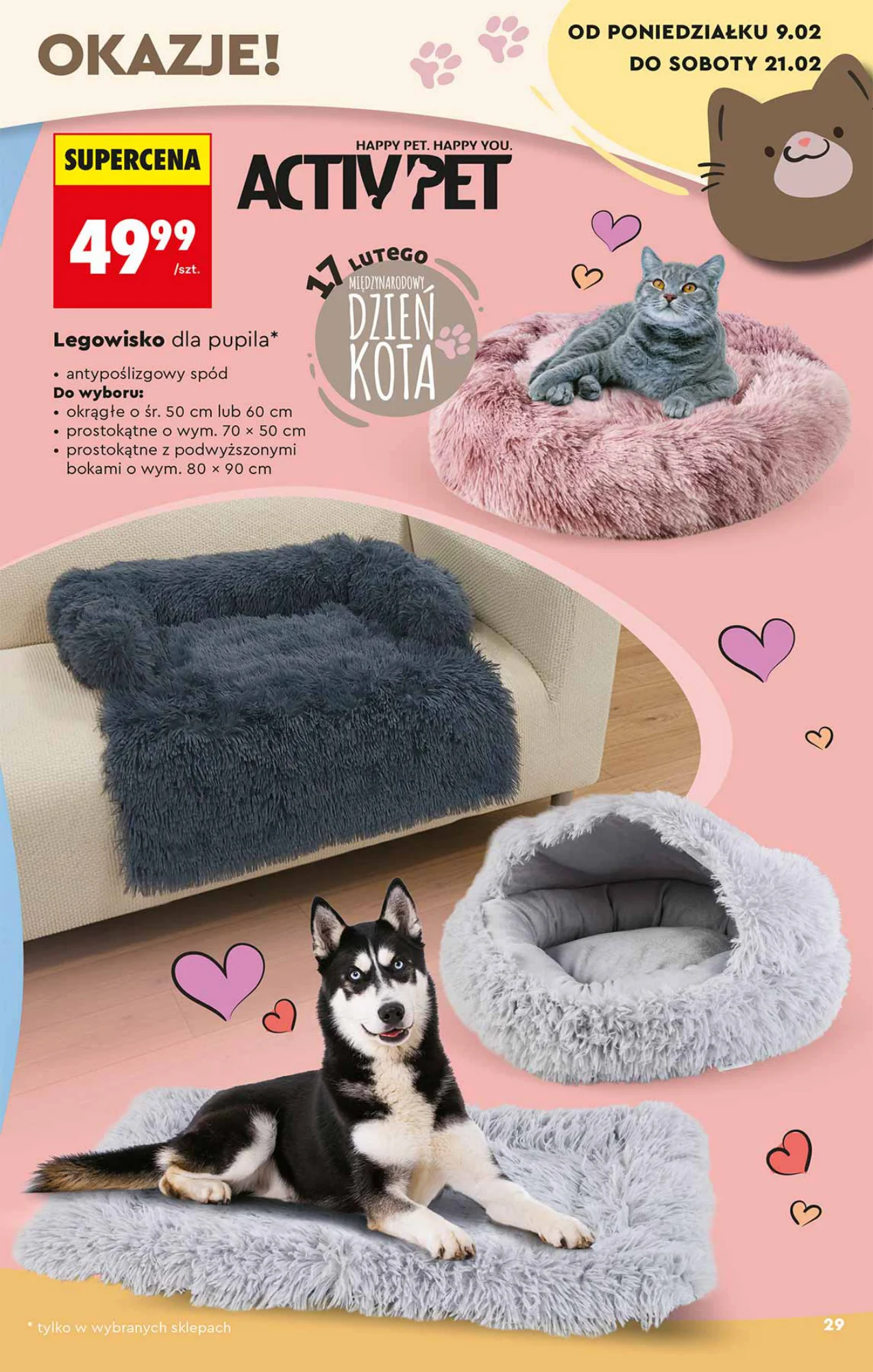 Gazetka promocyjna Biedronka str. 29