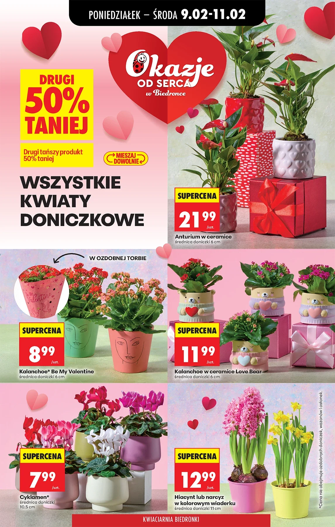 Gazetka promocyjna Biedronka str. 11
