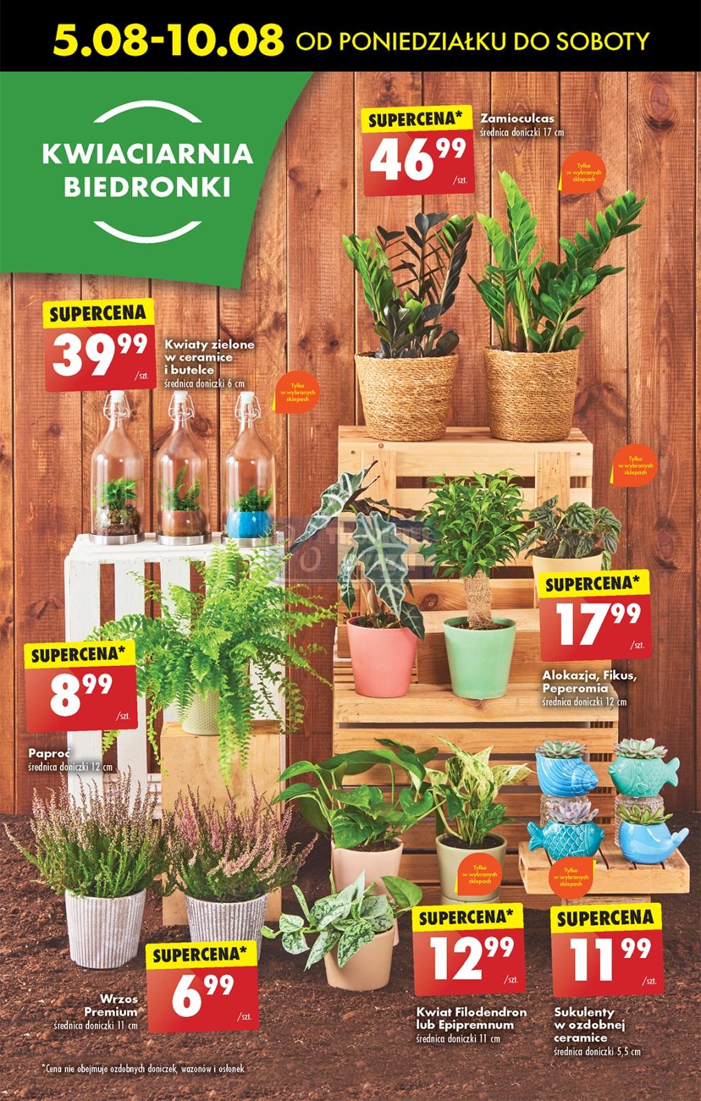 Gazetka promocyjna Biedronka str. 66